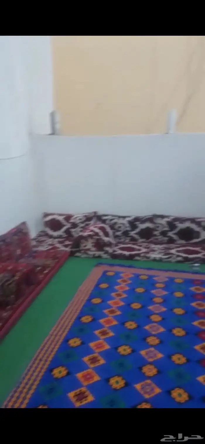 خيمة 4 ب 5 للبيع مع سجادتين ومساند وفرشات ارضية ممتازة وضد ا 4