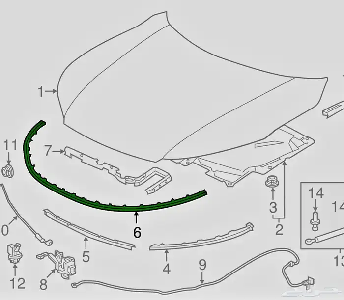 جلدة طرف الكبوت اكورد 2017 1