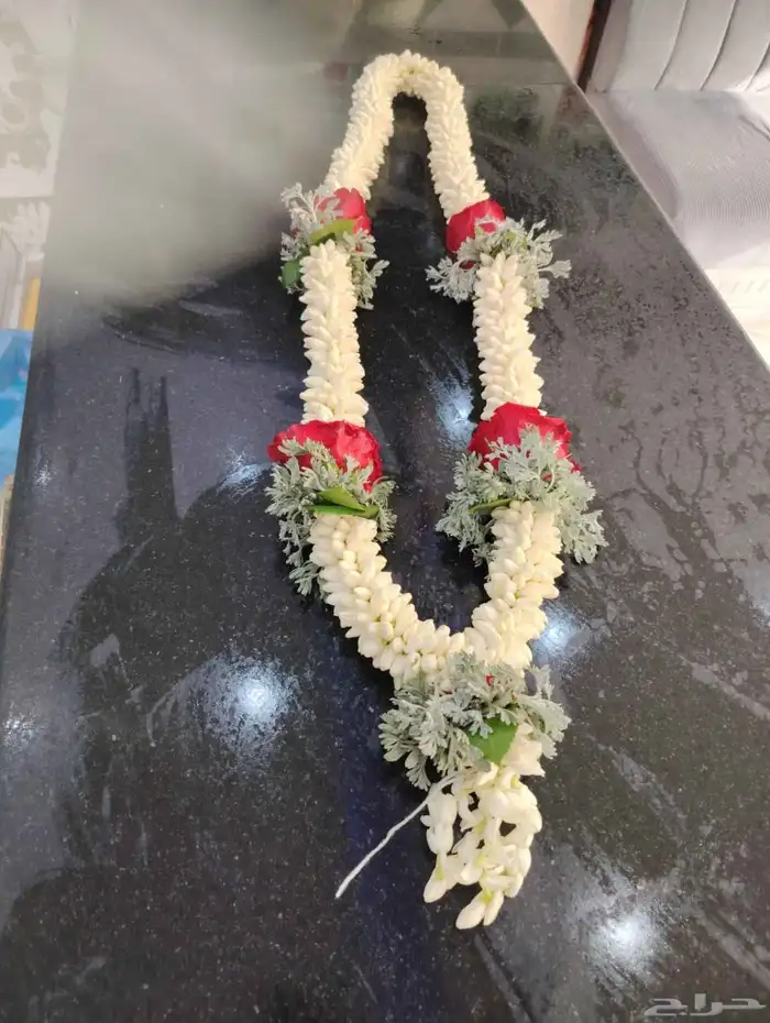 فل الرياض  لبيع الفل والخطور والعزاني والكاذي 4