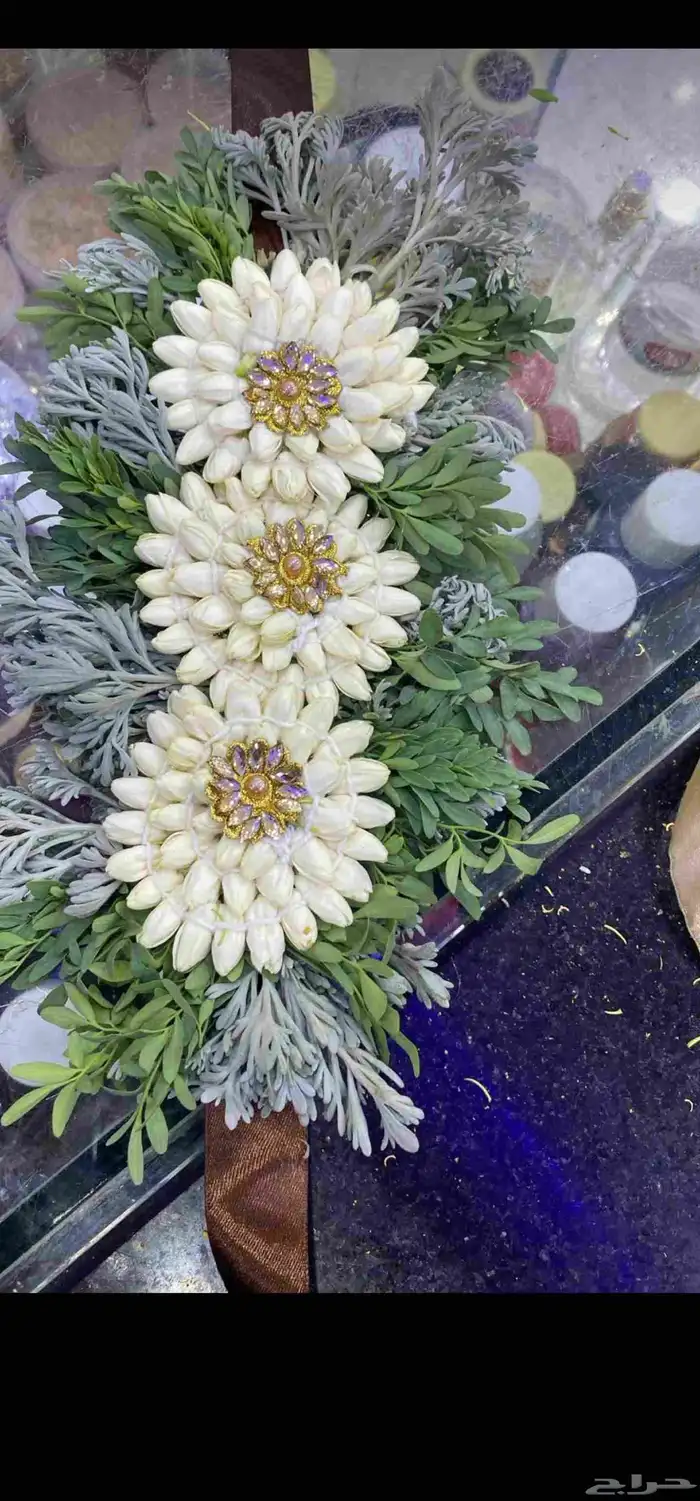 فل الرياض  لبيع الفل والخطور والعزاني والكاذي 2