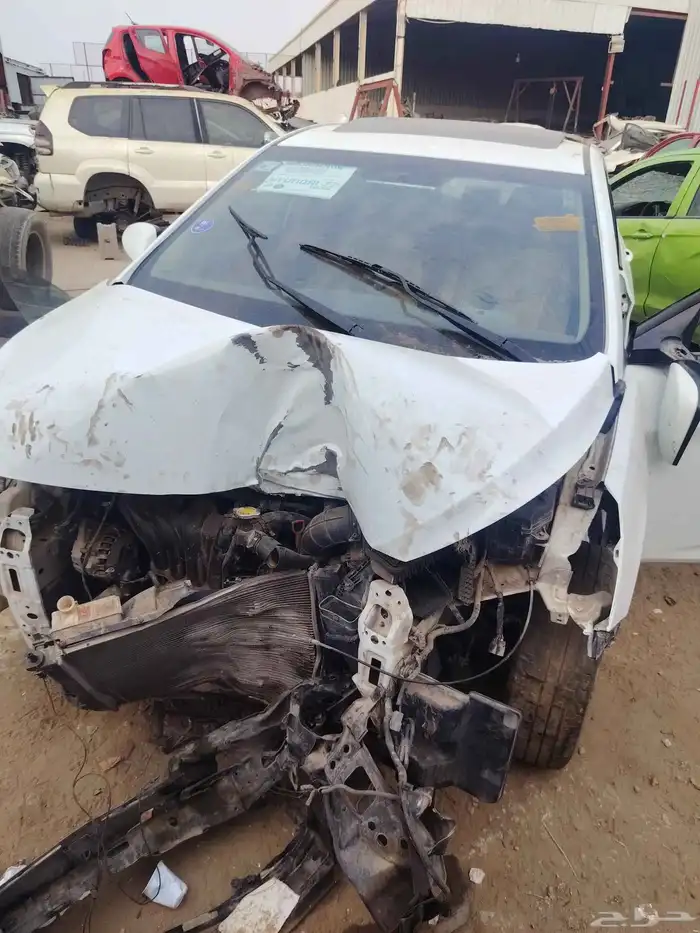 اكنست 2016 1