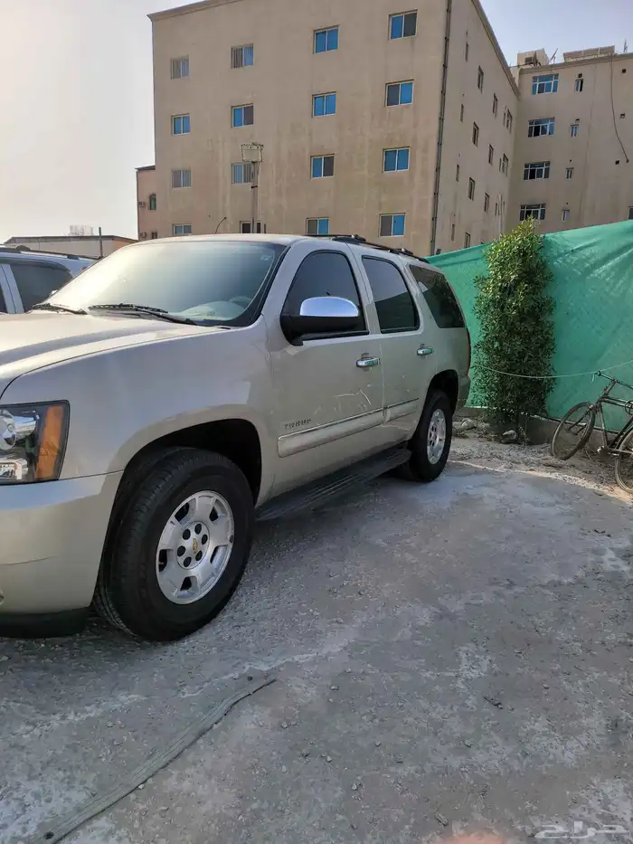 القطيف 1