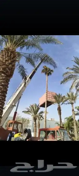 ترلات وكرينات وسطحات ونش نقل غرف ومولدات نقل طبالي 6