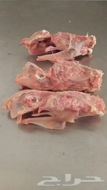 أكل للكلاب والقطط. 0