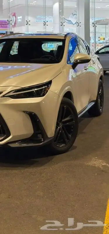 لكزس NX بريمي 2023 0