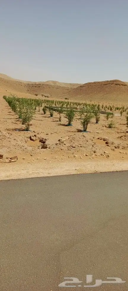 نقوم بتركيب جميع انواع شبوك المجلفن والعايدي والسياج الامني 4