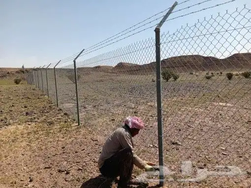 مقاول شبوك 4