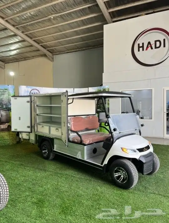 قولف كار الكهربائيه لاحدث العربات golf car 10