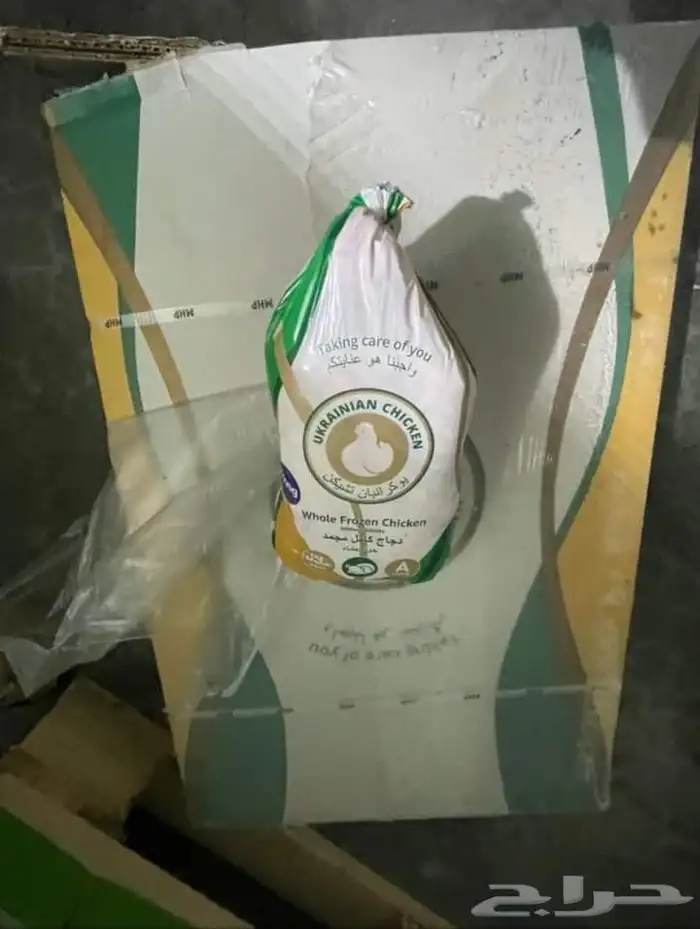نوفر ماتحتاجونه من اعلاف واغنام ودجاج للطلبيات جمله استيراد 13