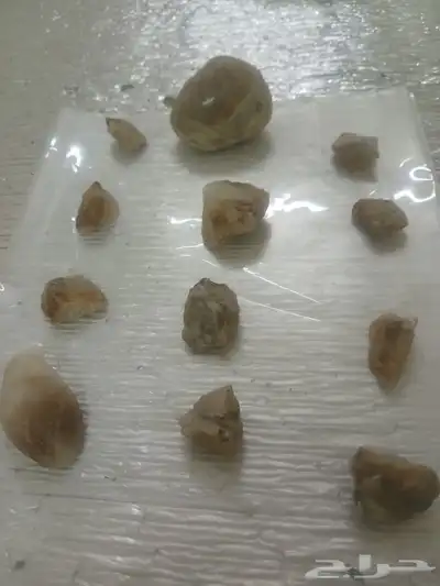 احجار كريمة متنوعه نرغب ببيعها 2
