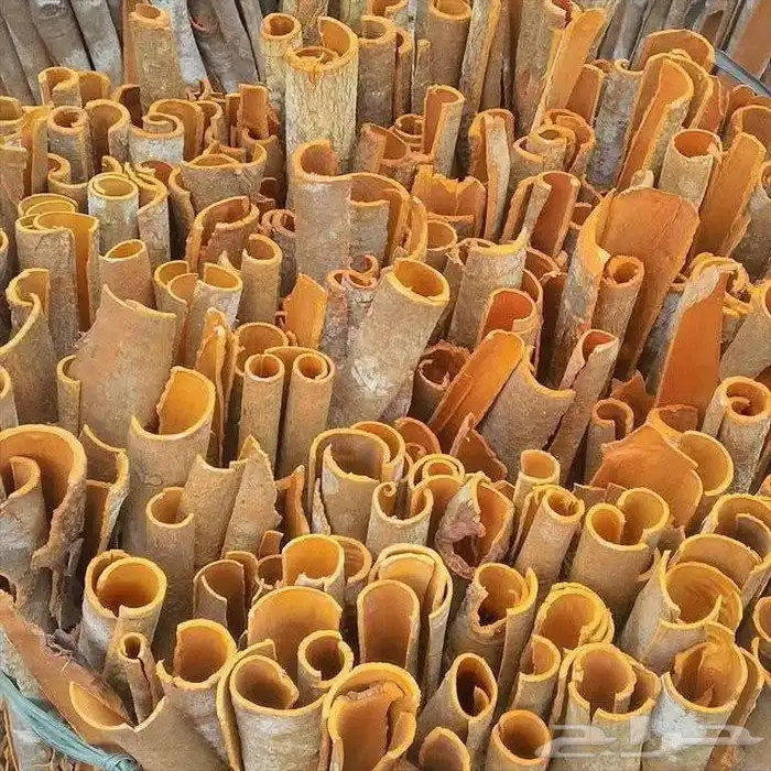 نوفر ماتحتاجونه من اعلاف واغنام ودجاج للطلبيات جمله استيراد 5