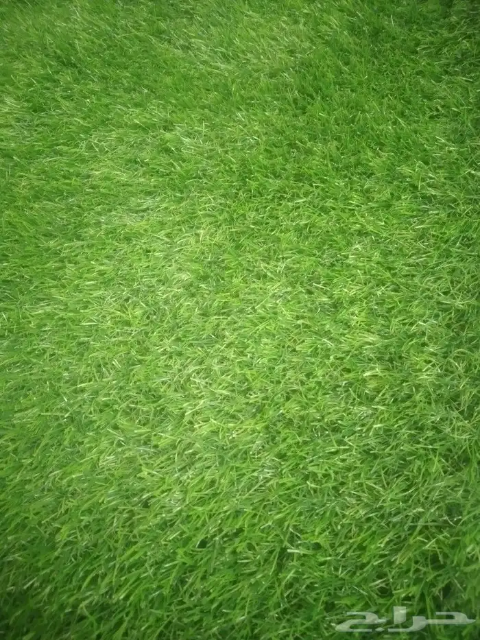 ثيل صناعي عشب صناعي 0