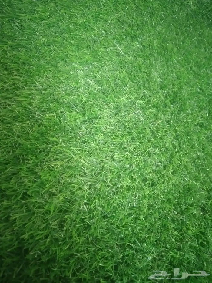 ثيل صناعي عشب صناعي 1