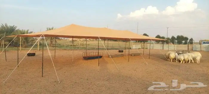 مضلات جميع الانواع 8