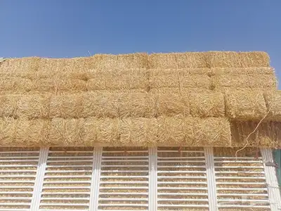 طبن 2