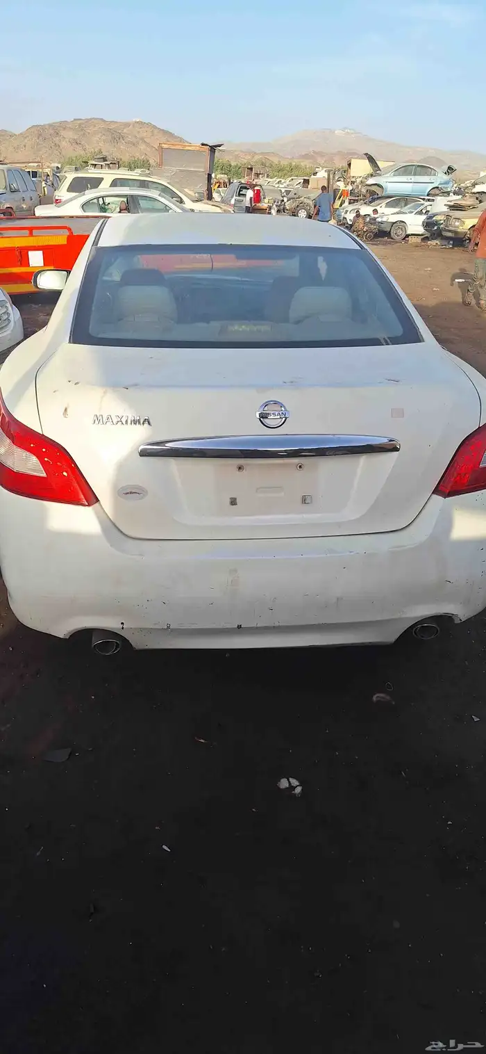 نيسان ميكسما موديل 2010 قطع غيار تشليح 3