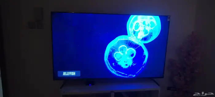شاشة باناسونيك Panasonic 4k Smart TV داخل الضمان شبه الجديد 3