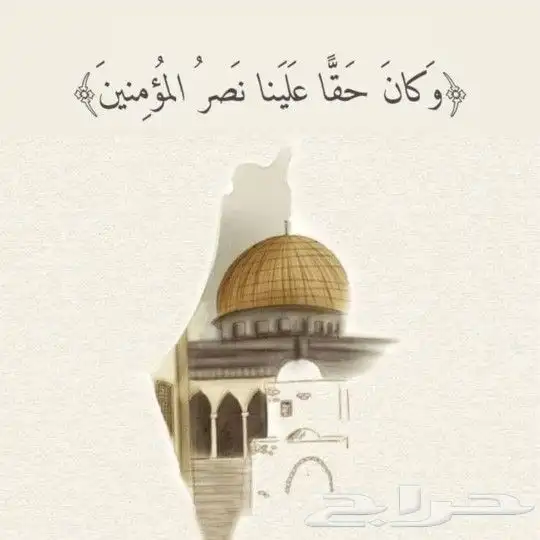مقاول شبوك 3