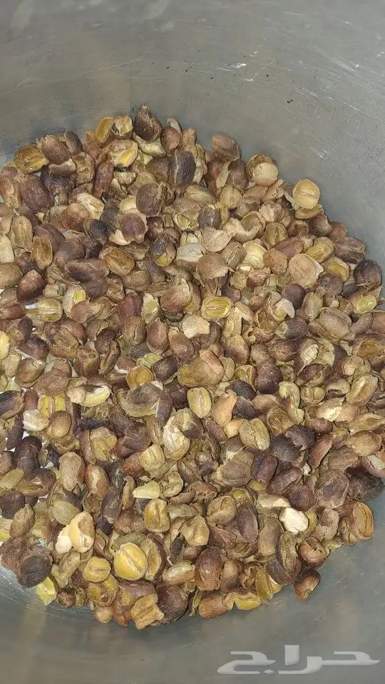 قشر خولاني سعر الكيس500وزن 50k 0