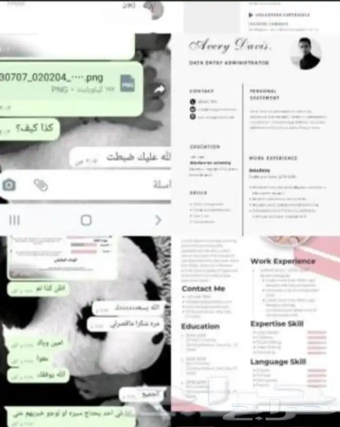 مشاريع جاهزة DB ولوقو و بحوث سيره ذاتيه 1
