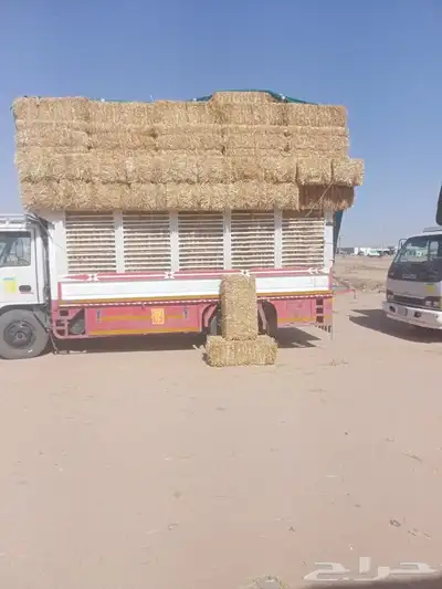 طبن 0