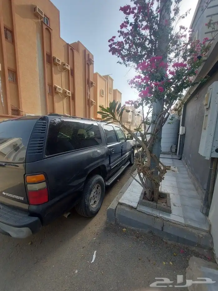 سوبربان موديل 2004 للبيع شغال والقير والمكينة جيدة الاستمارة 5