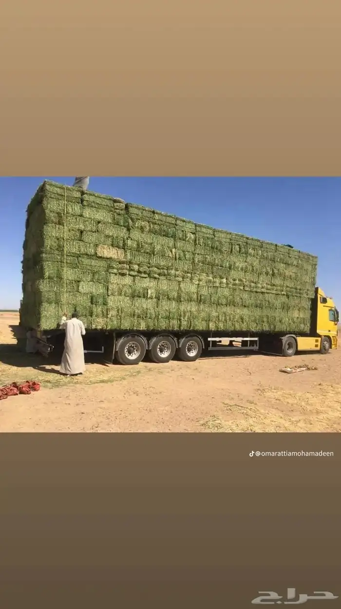 سوق الاعلاف البرسيم والتبن والرودس وجميع انواع الاعلاف 8
