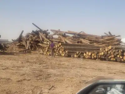 حشب كهربا سنوبر 2
