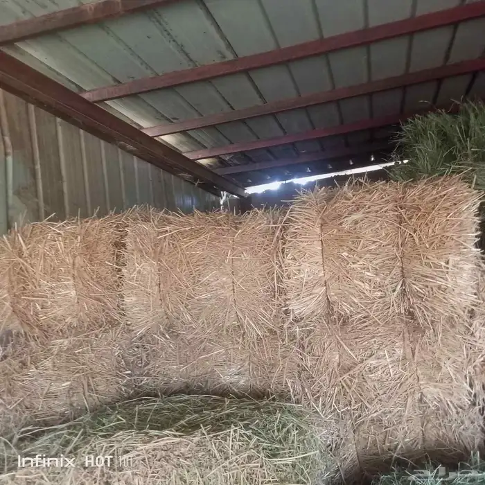 علف تبن للبيع 1