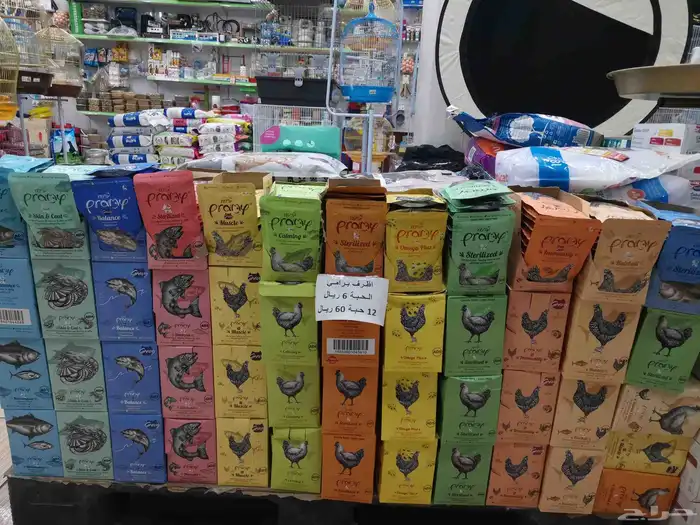 اكل قطط برامي 0