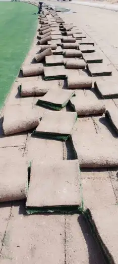 جميع انواع الثيل 0