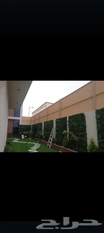 جده مشرفة 1