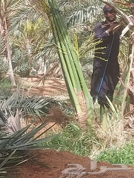 يوجد لدينا جميع انواع انخيل حسب المقاسات ونوعية 1