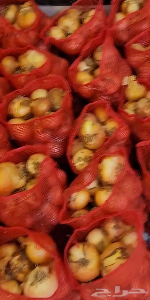 الاحساء المبرز 0