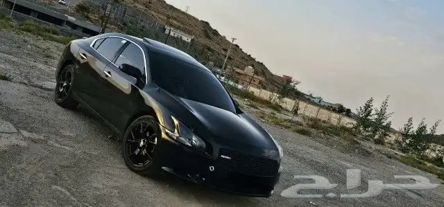 مكسيما 2013 2