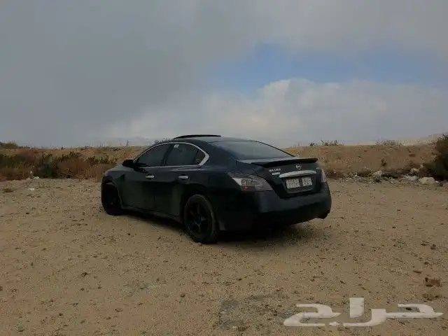 مكسيما 2013 4