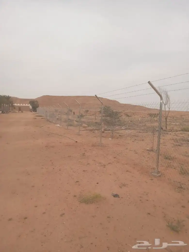شبك 2