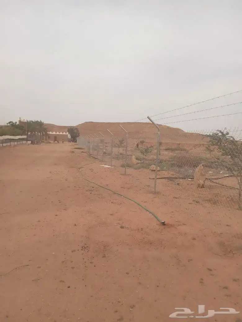شبك 1