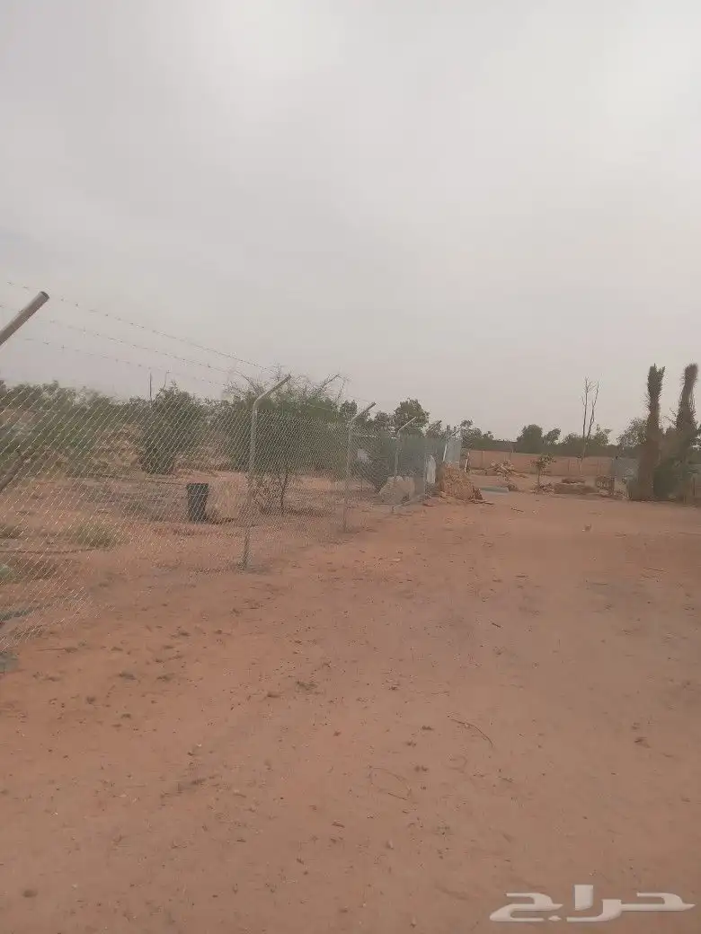 شبك 6