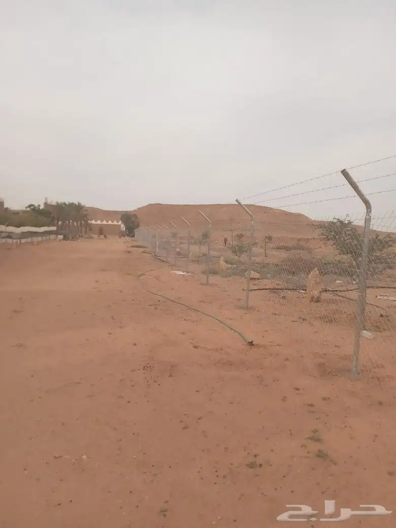 شبك 3