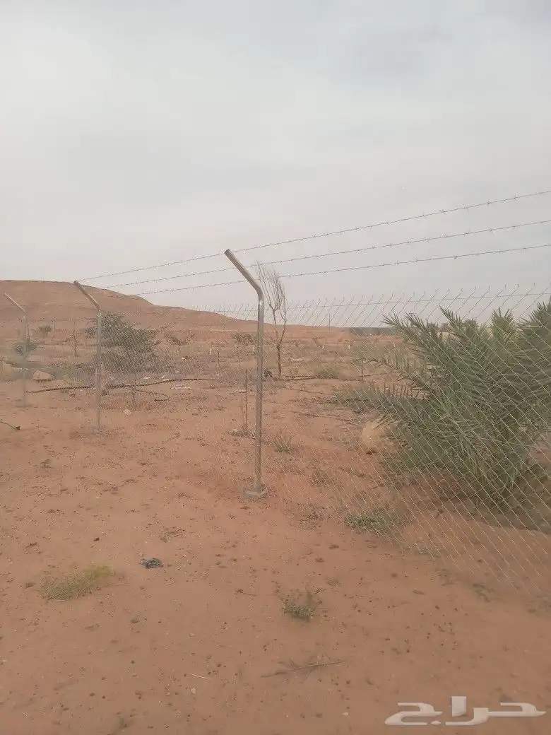 شبك 4