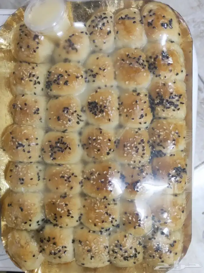 خليه نحل 1