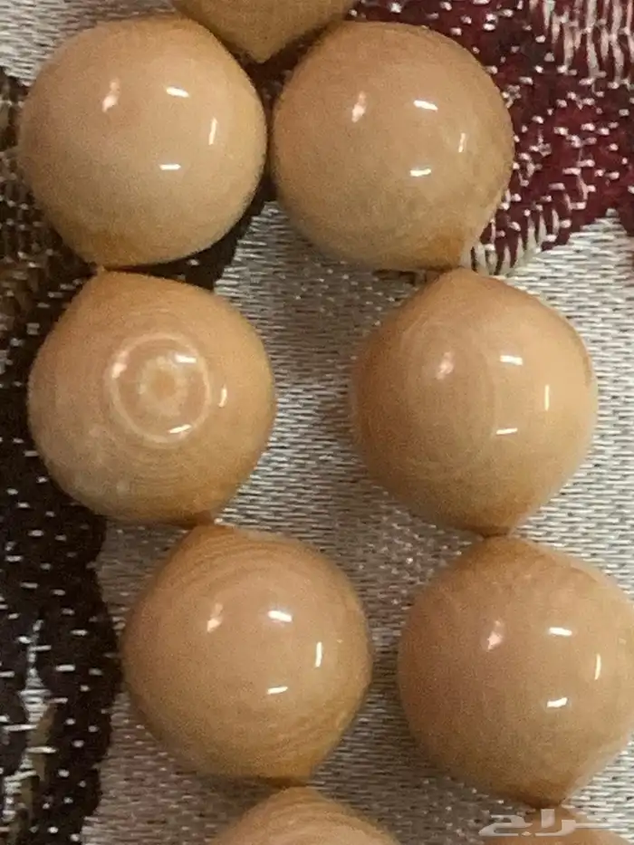 سبحة ماموث فاخرة جدا 6