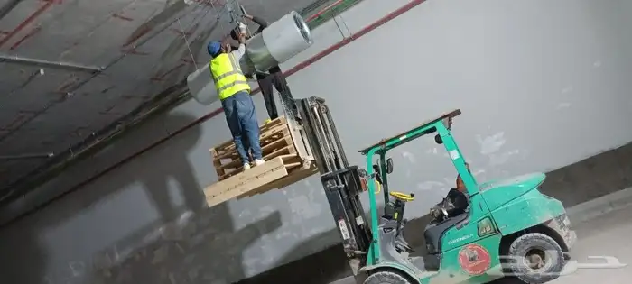 ببكاتات. ورافعات شوكيه 8