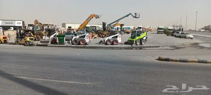 ببكاتات. ورافعات شوكيه 0