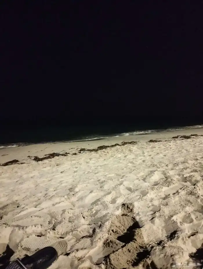احتاج سياره هديه مجانا حلم 0