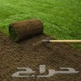 تنسيق حدائق زراعة الأشجار المثمرة والزينه أعمال الحواض 3