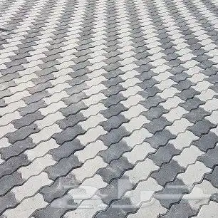 ابو عاصم للتنسيق الحدائق 9