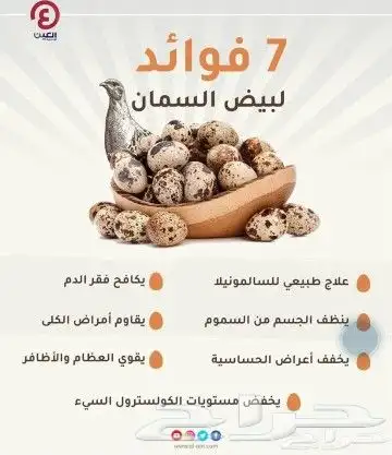بيض سمان للبيع 3