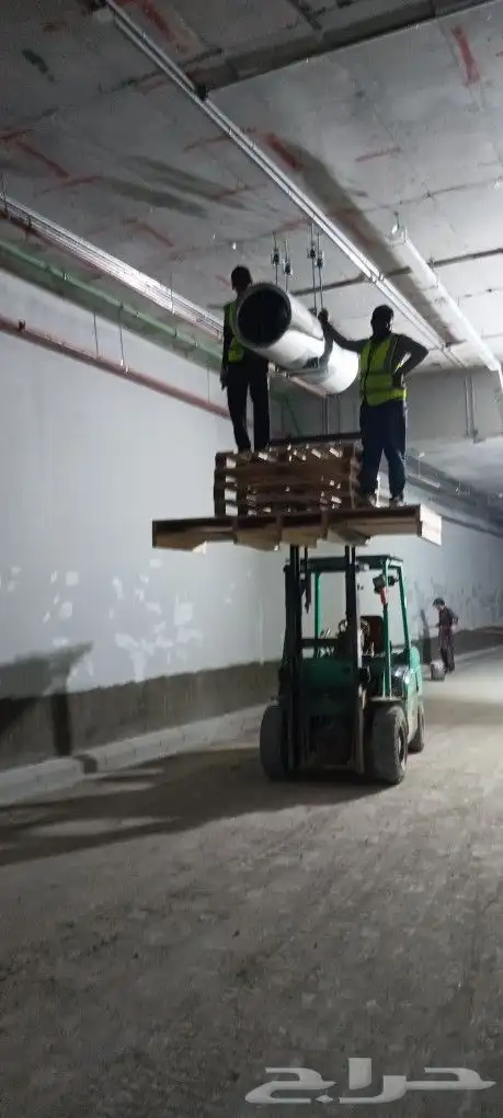 ببكاتات. ورافعات شوكيه 7